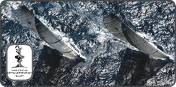 BSG, SailVision for america's cup